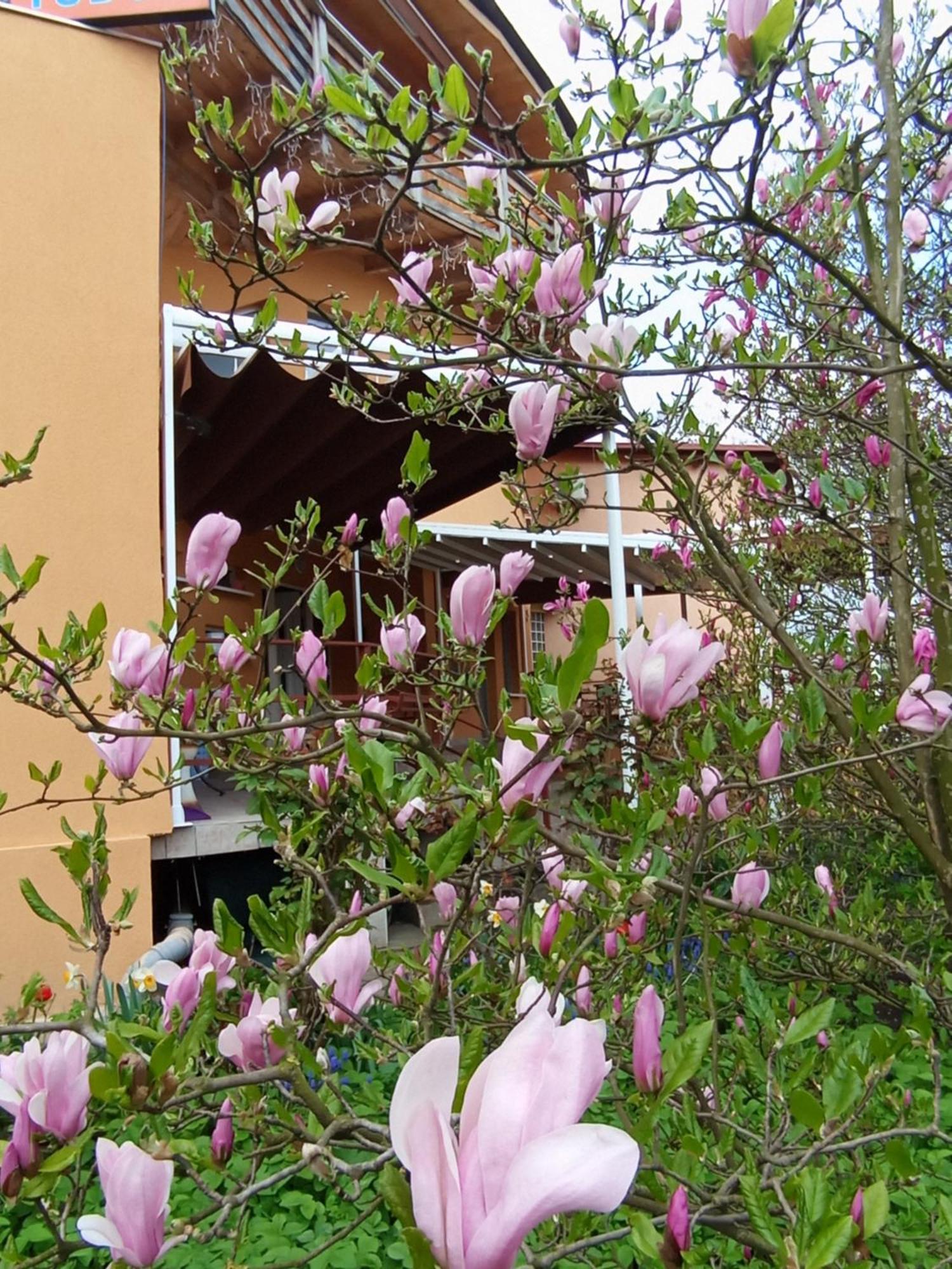 Casa Tudor Turda Buitenkant foto