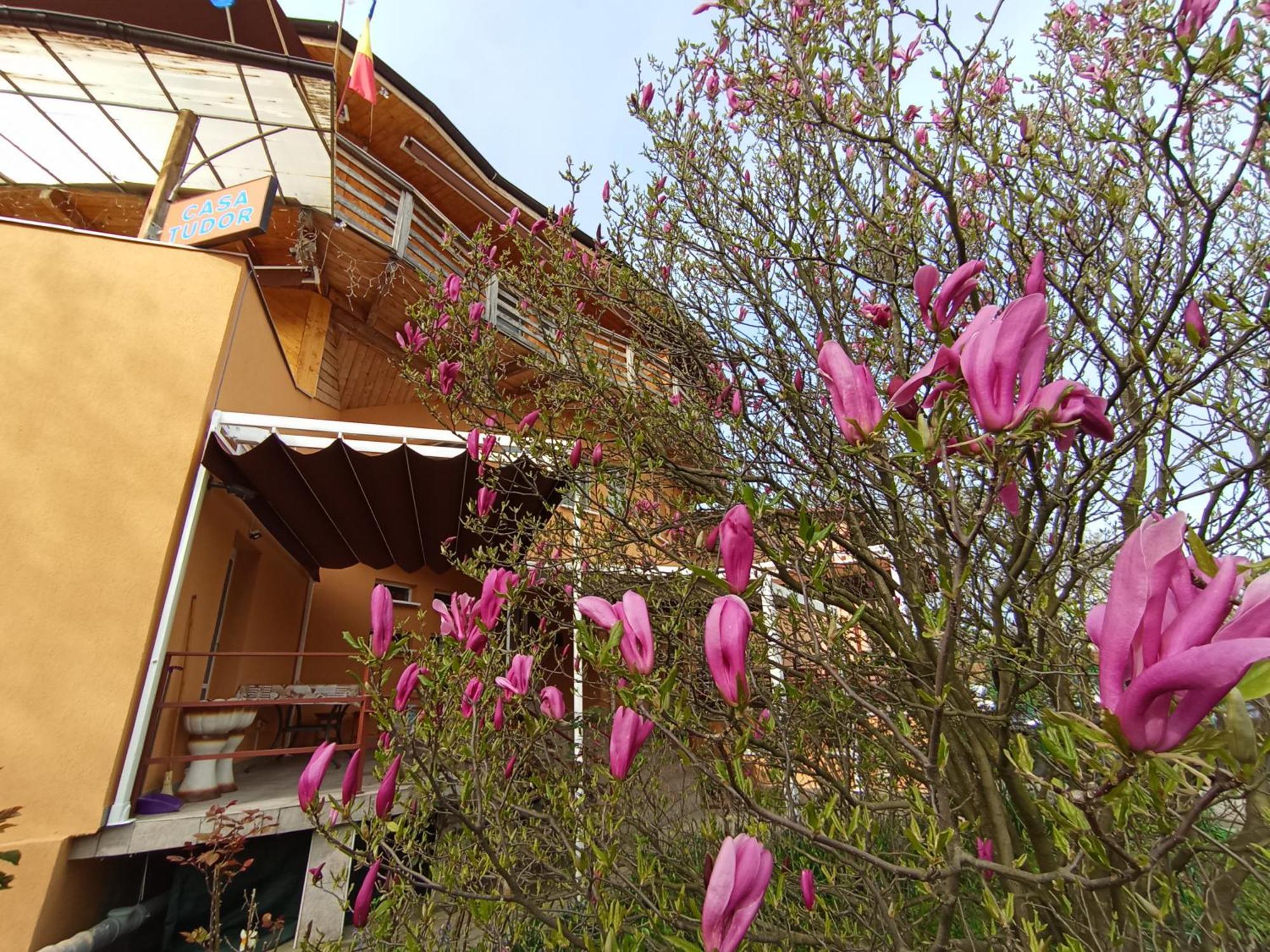Casa Tudor Turda Buitenkant foto
