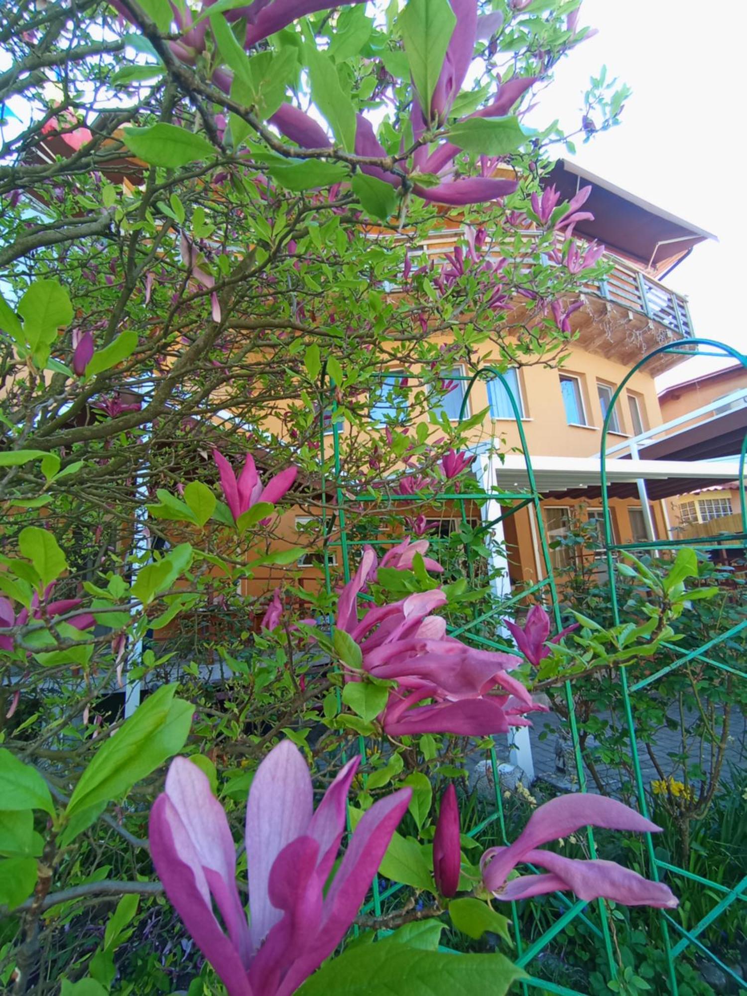 Casa Tudor Turda Buitenkant foto
